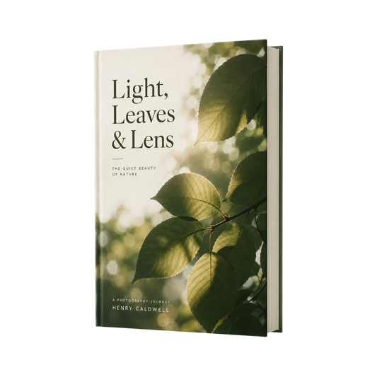 Light, Leaves & Lens image 2
