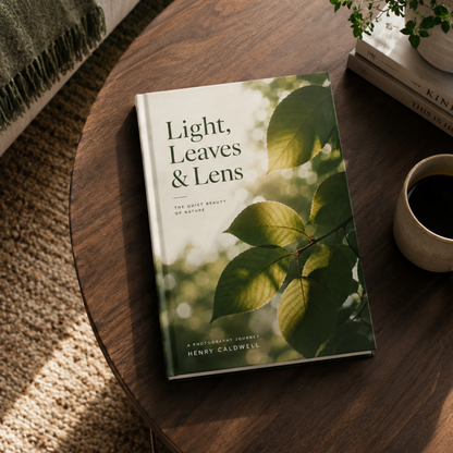 Licht, Blätter & Linse