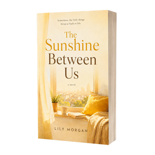 The Sunshine Between Us image 2