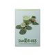 Smoothies — 12-Week Detox Plan and Recipes